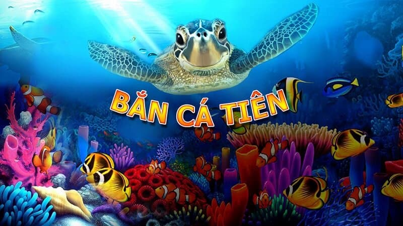 Bắn cá tiểu tiên cá Debet: Sân chơi giải trí đầy thú vị 3 Các phòng tham gia bắn cá tiên